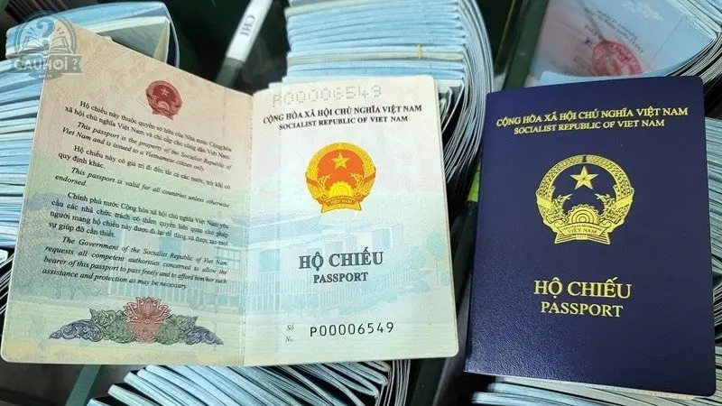 Hồ sơ làm hộ chiếu online Hồ sơ làm hộ chiếu online