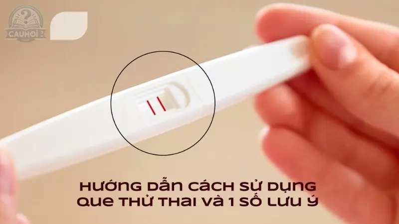 Các lưu ý và mẹo khi sử dụng que thử thai Các lưu ý và mẹo khi sử dụng que thử thai