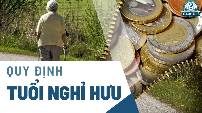 Quy định tuổi nghỉ hưu Quy định tuổi nghỉ hưu