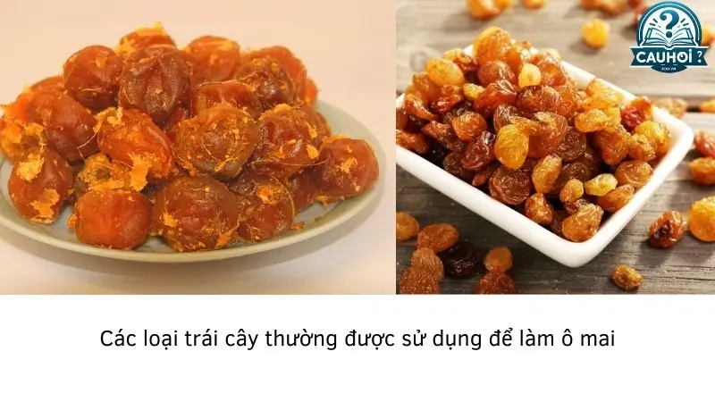 Định nghĩa và đặc điểm của ô mai Định nghĩa và đặc điểm của ô mai