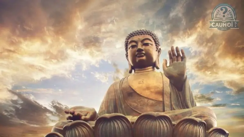 Phạm thái tuế là gì 03