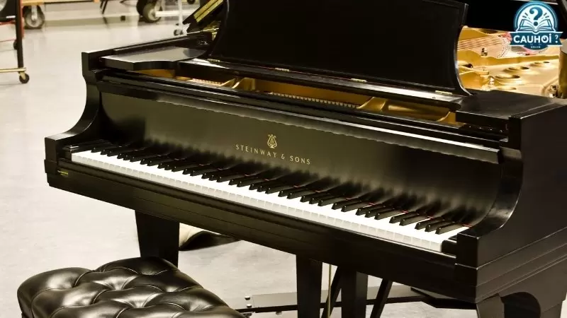 Tổng quan về Piano và Organ Tổng quan về Piano và Organ