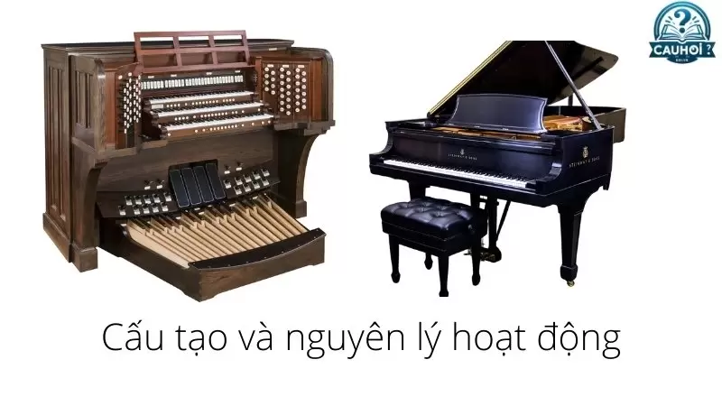 Cấu tạo và nguyên lý hoạt động Cấu tạo và nguyên lý hoạt động