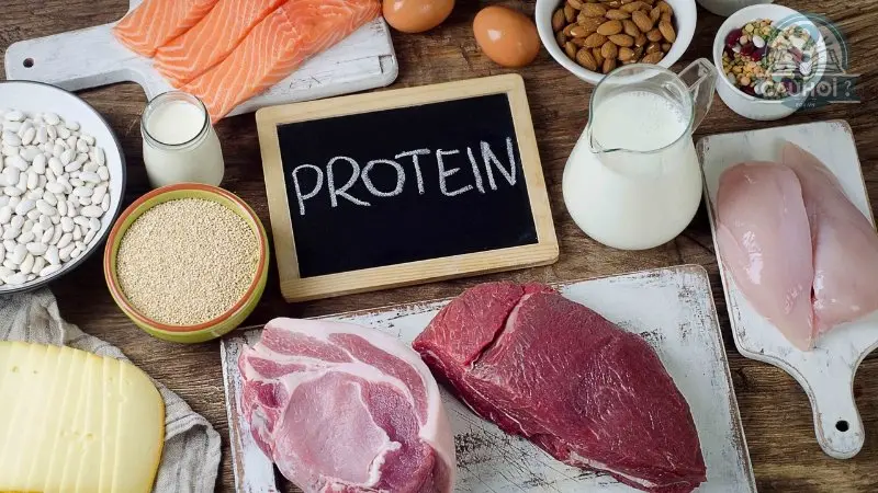Protein là gì 01 