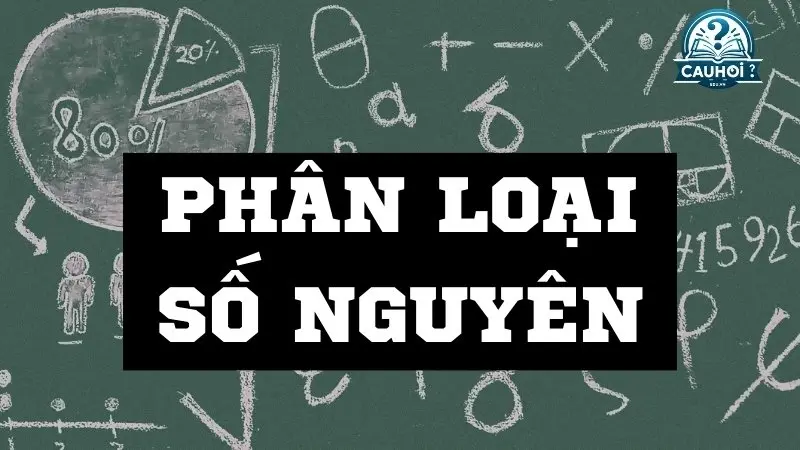 Phân loại số nguyên Phân loại số nguyên