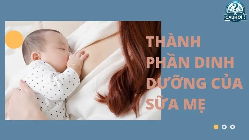 Thành phần dinh dưỡng của sữa mẹ Thành phần dinh dưỡng của sữa mẹ