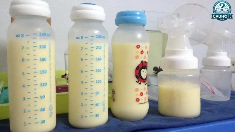 Yếu tố ảnh hưởng đến chất lượng sữa mẹ Yếu tố ảnh hưởng đến chất lượng sữa mẹ