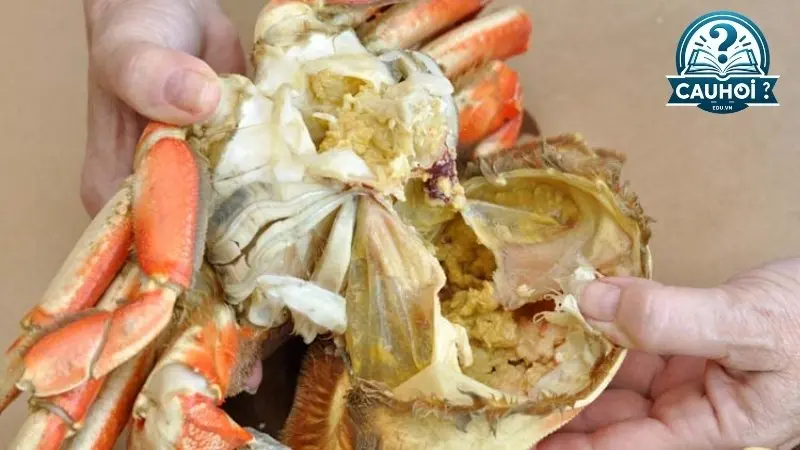 Tại sao gạch cua có màu xanh?