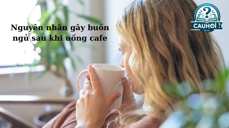 Nguyên nhân gây buồn ngủ sau khi uống cafe