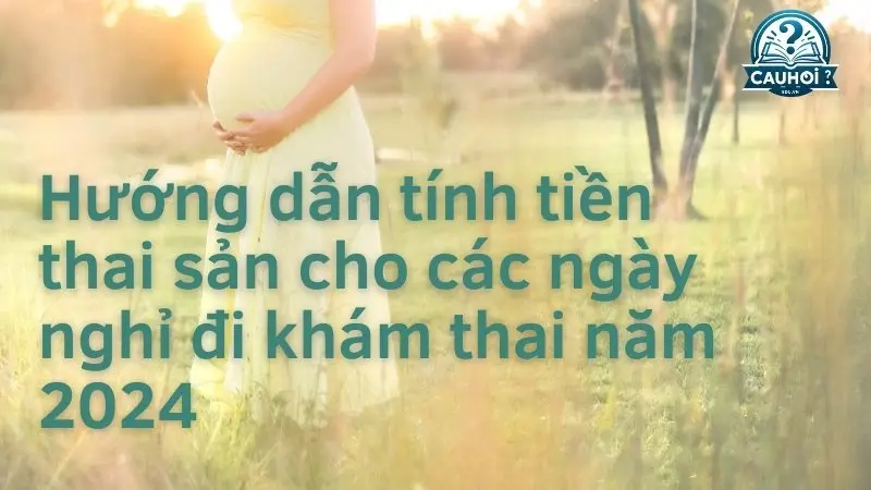Hướng dẫn tính tiền thai sản cho các ngày nghỉ đi khám thai năm 2024 Hướng dẫn tính tiền thai sản cho các ngày nghỉ đi khám thai năm 2024