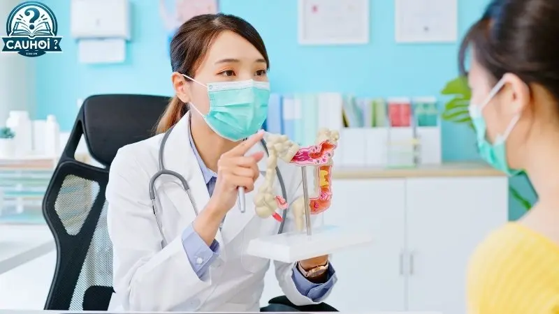 Định nghĩa Ung thư cổ tử cung Định nghĩa Ung thư cổ tử cung