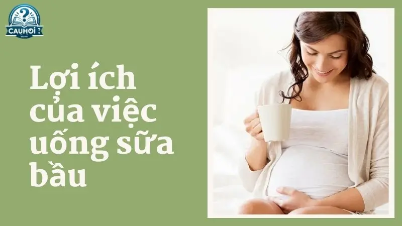 Lợi ích của việc uống sữa bầu Lợi ích của việc uống sữa bầu