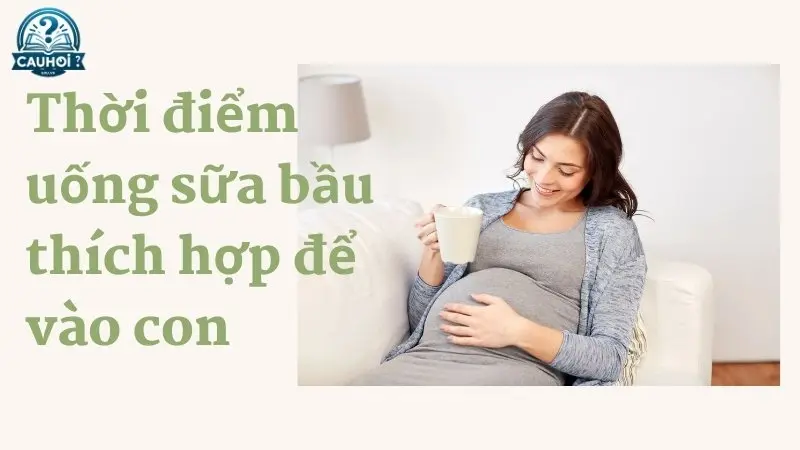 Thời điểm nào nên uống sữa bầu để vào con? Thời điểm nào nên uống sữa bầu để vào con?