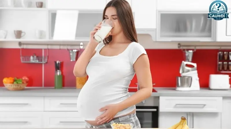 Liều lượng và cách uống sữa bầu hiệu quả để vào con Liều lượng và cách uống sữa bầu hiệu quả để vào con