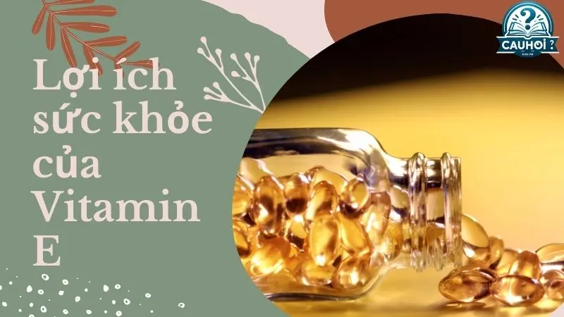 Lợi ích sức khỏe của Vitamin E Lợi ích sức khỏe của Vitamin E