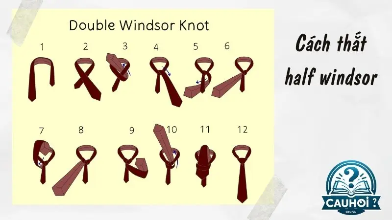Nút thắt Half Windsor Nút thắt Half Windsor