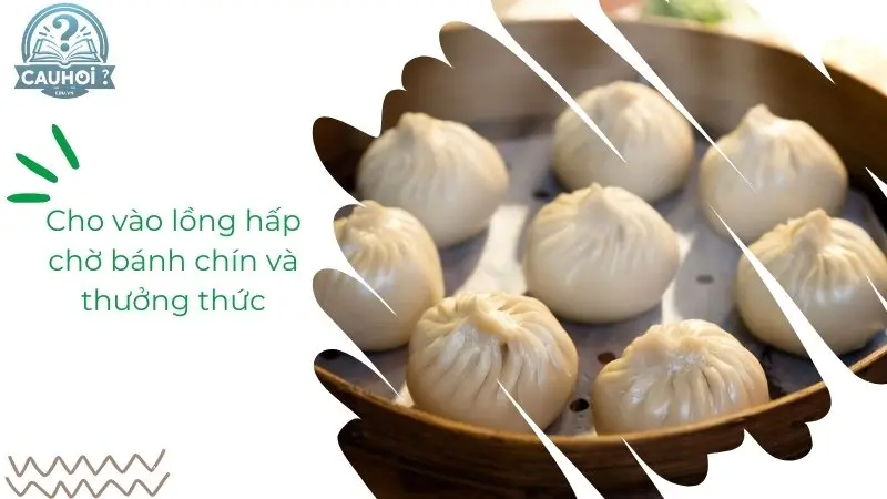 Hấp bánh bao Hấp bánh bao