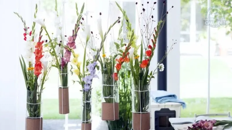 Xử lý hoa lay ơn trước khi cắm Xử lý hoa lay ơn trước khi cắm