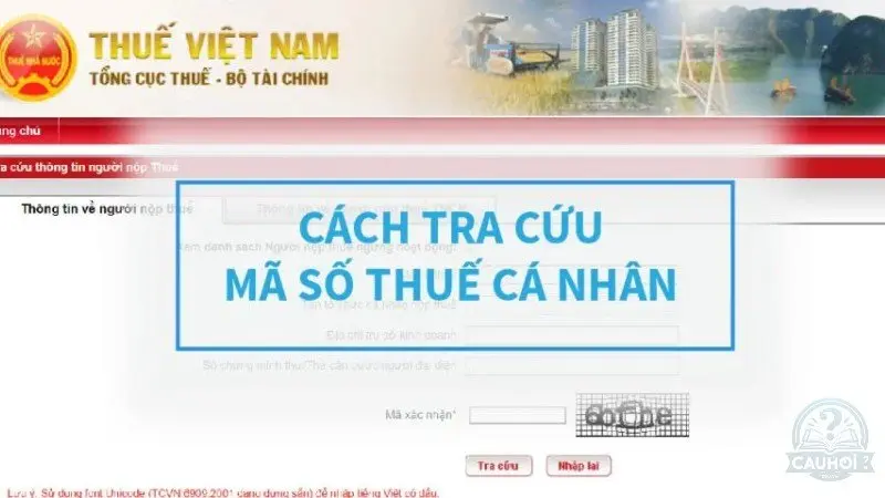 Hướng dẫn tra mã số thuế cá nhân online Hướng dẫn tra mã số thuế cá nhân online