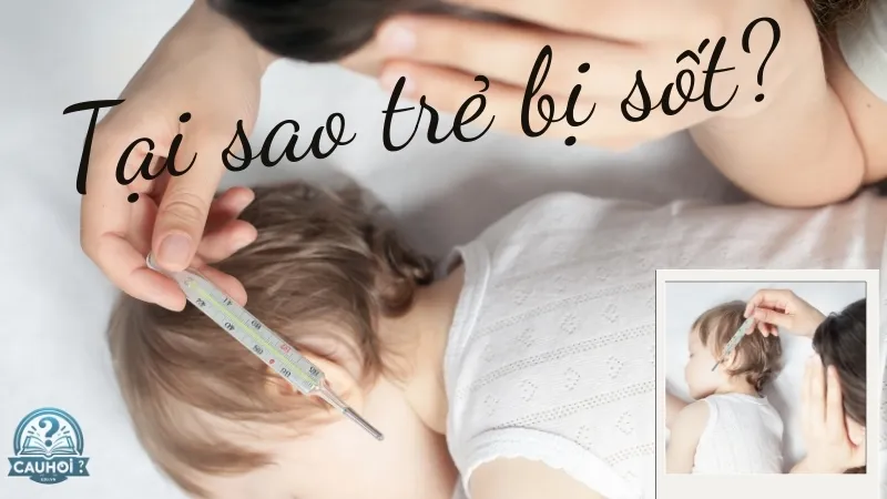 Tại sao trẻ bị sốt? Tại sao trẻ bị sốt?