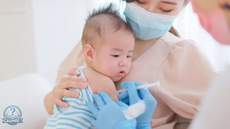 Cẩn thận khi đưa bé đi tiêm Cẩn thận khi đưa bé đi tiêm