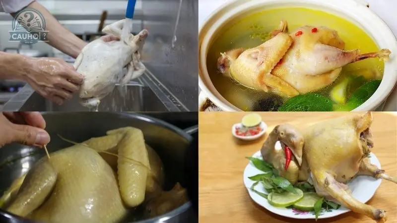 Hướng dẫn cách luộc gà ngon đúng cách Hướng dẫn cách luộc gà ngon đúng cách
