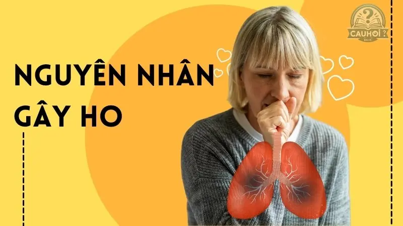 Cách trị ho không cần thuốc tại nhà - Đơn giản và hiệu quả Cách trị ho không cần thuốc tại nhà - Đơn giản và hiệu quả