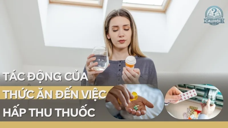 Tại sao phải uống thuốc sau ăn 30 phút - Những lý do bạn cần biết 