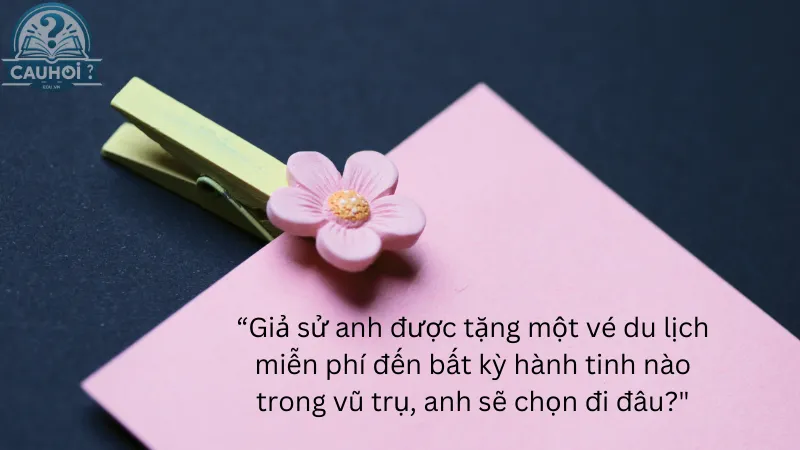 Bắt đầu bằng một câu hỏi thú vị Bắt đầu bằng một câu hỏi thú vị