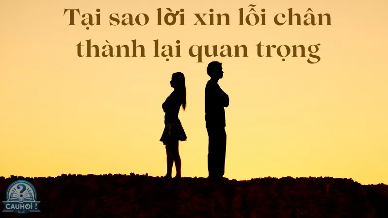 Tại sao lời xin lỗi chân thành lại quan trọng Tại sao lời xin lỗi chân thành lại quan trọng