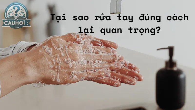 Tại sao rửa tay đúng cách lại quan trọng? Tại sao rửa tay đúng cách lại quan trọng?