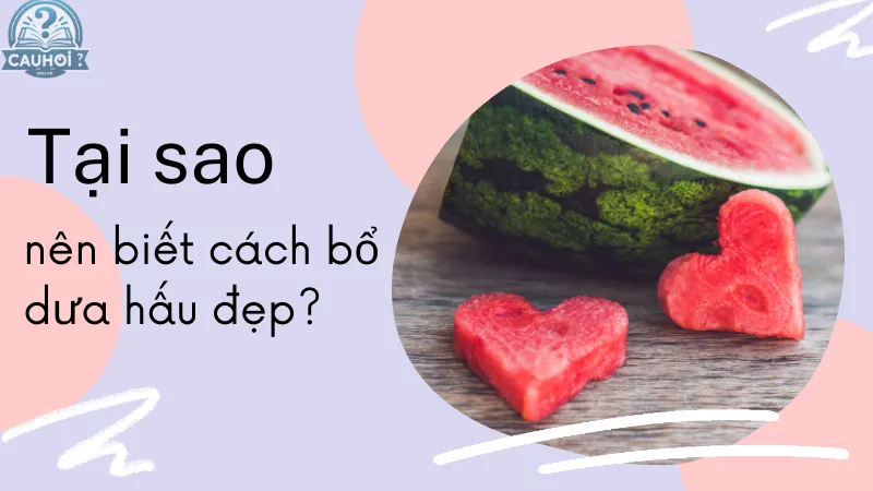 Tại sao nên biết cách bổ dưa hấu đẹp? Tại sao nên biết cách bổ dưa hấu đẹp?