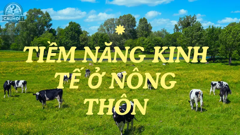 Tiềm năng kinh tế ở nông thôn Tiềm năng kinh tế ở nông thôn