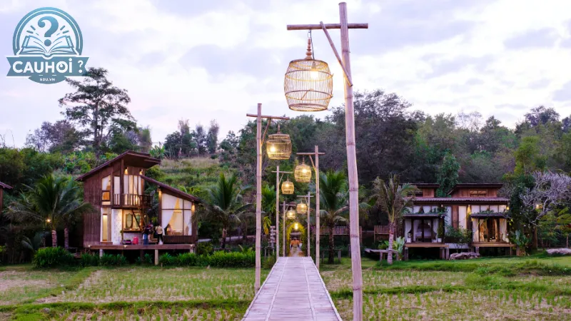 Du lịch sinh thái và homestay Du lịch sinh thái và homestay