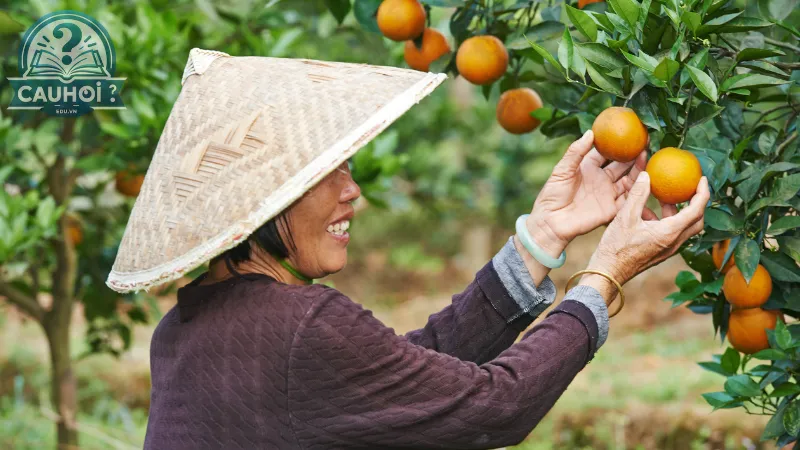 Mô hình trang trại kết hợp Mô hình trang trại kết hợp