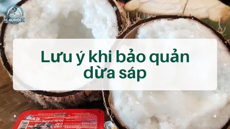 Lưu ý khi bảo quản dừa sáp Lưu ý khi bảo quản dừa sáp