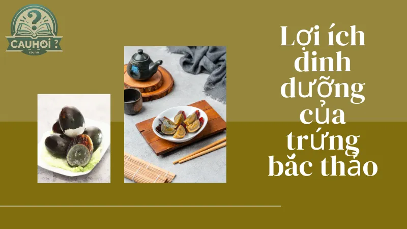 Lợi ích dinh dưỡng của trứng bắc thảo Lợi ích dinh dưỡng của trứng bắc thảo