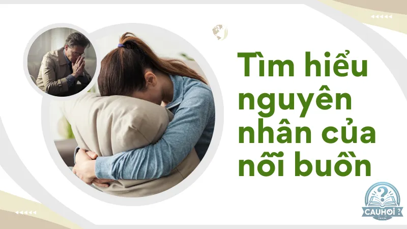 Tìm hiểu nguyên nhân của nỗi buồn Tìm hiểu nguyên nhân của nỗi buồn