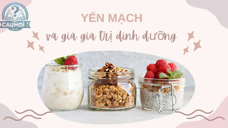 Yến mạch và giá giá trị dinh dưỡng Yến mạch và giá giá trị dinh dưỡng