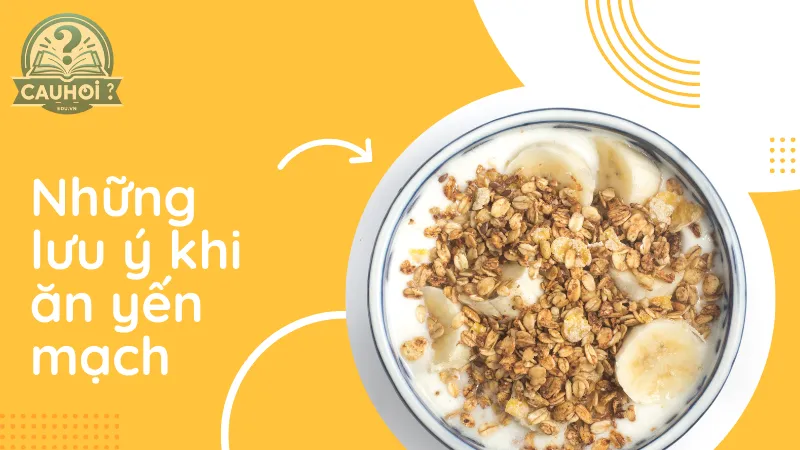 Những lưu ý khi ăn yến mạch Những lưu ý khi ăn yến mạch