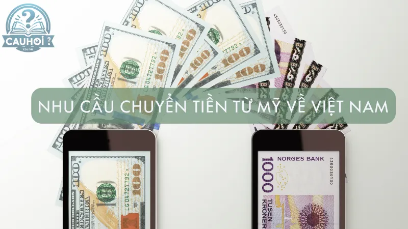 Nhu cầu chuyển tiền từ Mỹ về Việt Nam Nhu cầu chuyển tiền từ Mỹ về Việt Nam