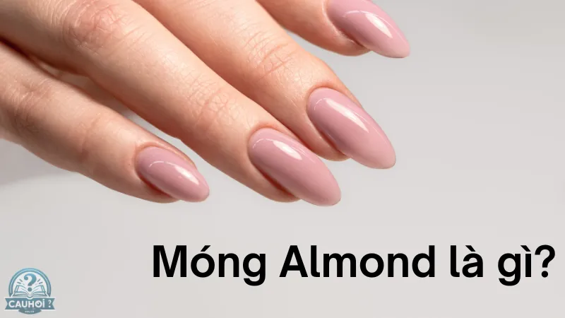 Móng almond là gì? Móng almond là gì?