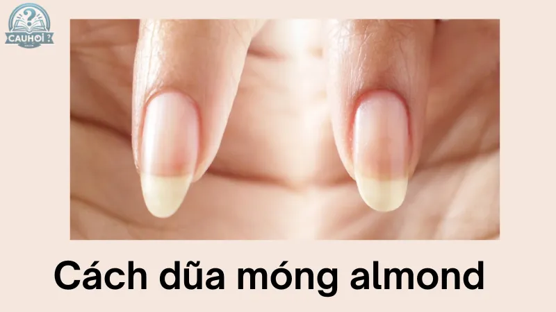 Cách dũa móng almond Cách dũa móng almond