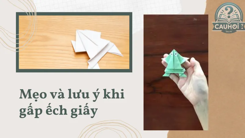 Mẹo và lưu ý khi gấp ếch giấy Mẹo và lưu ý khi gấp ếch giấy
