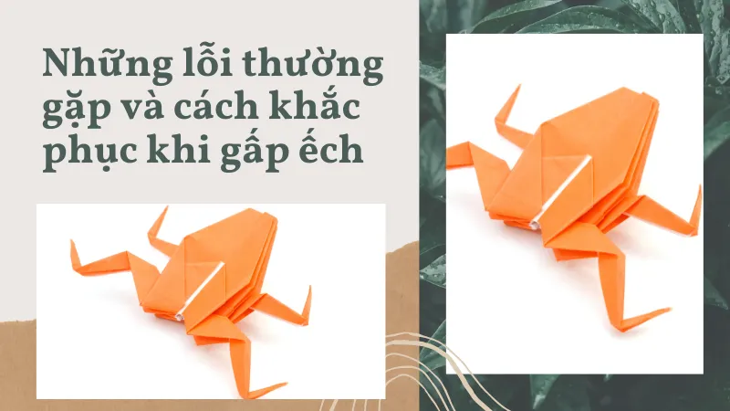 Những lỗi thường gặp và cách khắc phục khi gấp ếch Những lỗi thường gặp và cách khắc phục khi gấp ếch