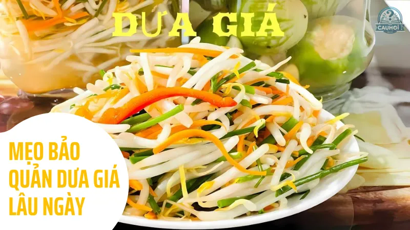 Mẹo bảo quản dưa giá lâu ngày Mẹo bảo quản dưa giá lâu ngày