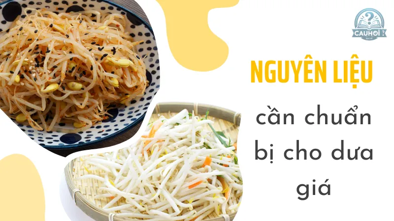 Nguyên liệu cần chuẩn bị cho dưa giá Nguyên liệu cần chuẩn bị cho dưa giá