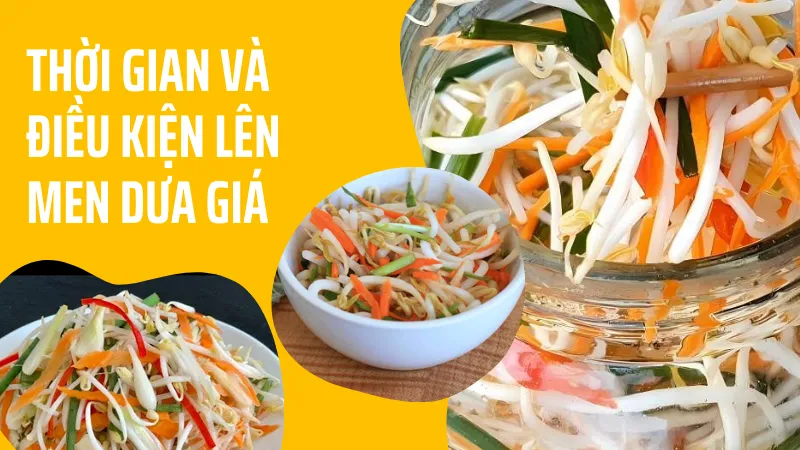 Thời gian và điều kiện lên men dưa giá Thời gian và điều kiện lên men dưa giá