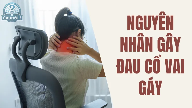 Nguyên nhân gây đau cổ vai gáy Nguyên nhân gây đau cổ vai gáy