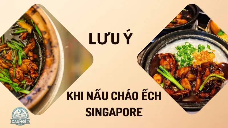 Lưu ý khi nấu cháo ếch Singapore Lưu ý khi nấu cháo ếch Singapore